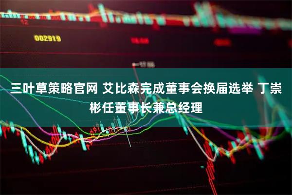 三叶草策略官网 艾比森完成董事会换届选举 丁崇彬任董事长兼总经理