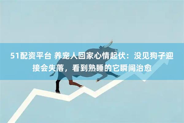 51配资平台 养宠人回家心情起伏：没见狗子迎接会失落，看到熟睡的它瞬间治愈