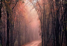 股票网论坛:股票可以加杠杆的平台-浮盈颇丰 “牛散”、私募ETF持仓曝光